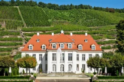 Dresden Kurzurlaub mit Weinprobe für 2