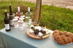 Ein Tag auf dem Weingut mit Übernachtung in der Pfalz für 2