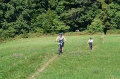 E-Mountainbike Tagestour Wien