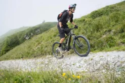 E-Mountainbike Tour Zillertal für 2