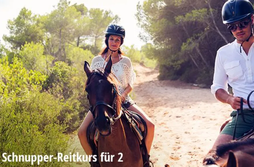 Erlebnis-Mix 'Tierische Abenteuer'
