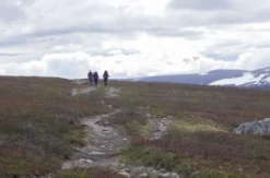 Erlebnisreise Expeditionstrekking in Nordschweden (9 Nächte)