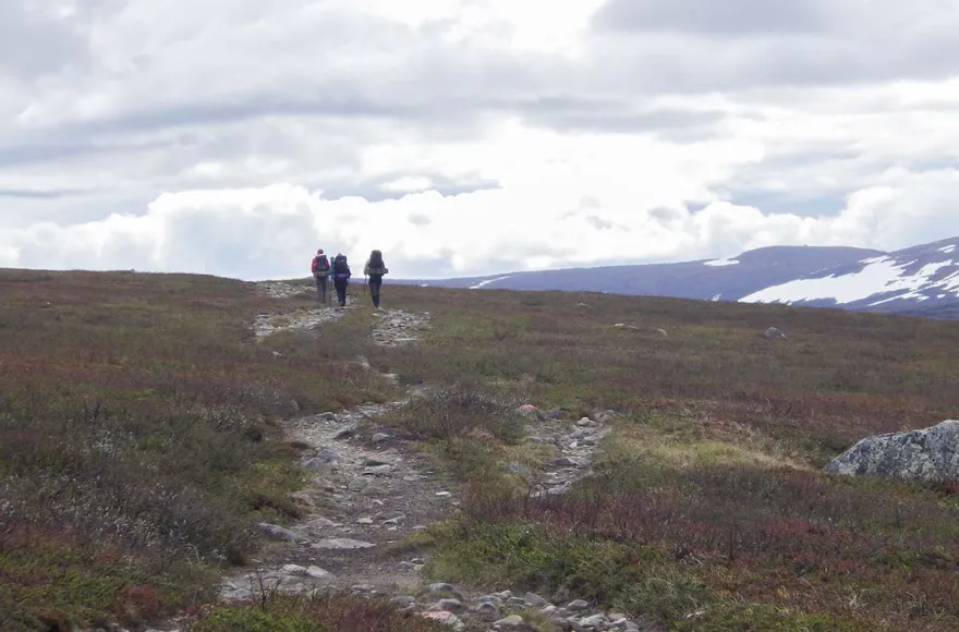Erlebnisreise Expeditionstrekking in Nordschweden (9 Nächte)