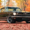 1966er Mustang Fastback fahren Hamburg (8 Std.)