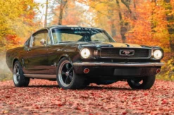 1966er Mustang Fastback fahren Hamburg (8 Std.)