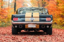 1966er Mustang Fastback mieten Hamburg (8 Std.)