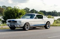 1966er Mustang Fastback mieten Hamburg (8 Std.)