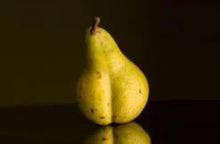 Erotic Food Kochkurs