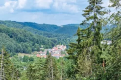 Eselwanderung Eppenbrunn für 2 (2 Std.)
