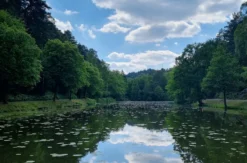 Eselwanderung Eppenbrunn (2 Std.)