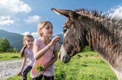 Eselwanderung in Untrasried