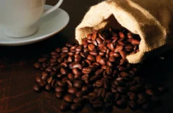 Espresso Seminar