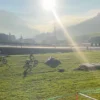 E-Trial fahren Stuben am Arlberg (20 Min.)