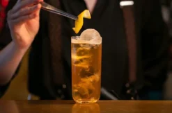 Expert Cocktail Workshop Berlin