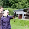 Falkner Erlebnis Wunsiedel