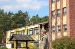 Falkner für einen Tag in Potsdam