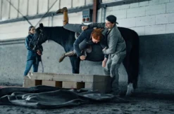 Fall-& Sicherheitstrainng Stuntpferd Herrnhut