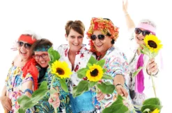 Familien-Fotoshooting Wien (1 Std.)