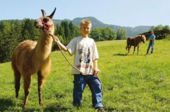 Familien-Kurzurlaub im Bio-Hotel in Kärnten für 4