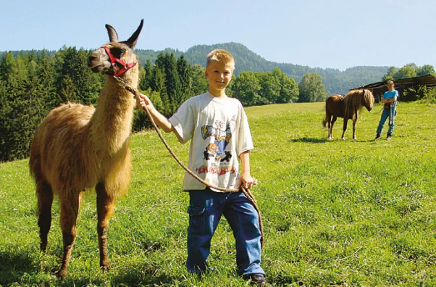 Familien-Kurzurlaub im Bio-Hotel in Kärnten für 4