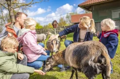 Familienurlaub am Fleesensee (2 Nächte)