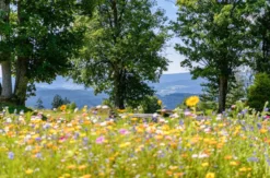 Familienurlaub im Bayerischen Wald in Bodenmais (2 Nächte)