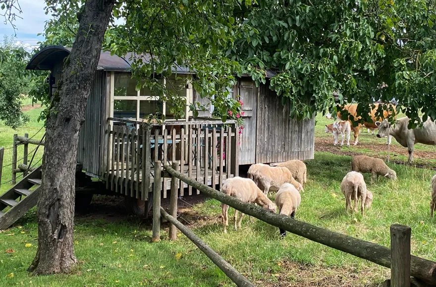 Familienurlaub im Bienenwagen (2 Nächte)