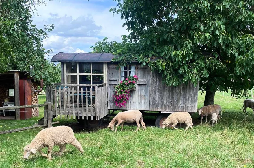 Familienurlaub im Bienenwagen (2 Nächte)