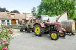 Familienurlaub im Fass für 3 (1 Nacht)
