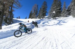 Fatbike-Downhill auf Schnee am Hochwurzen
