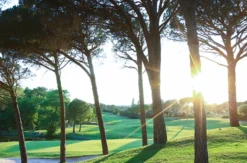 Ferienhaus in der Provence für bis zu 4 Personen (8 Tage)
