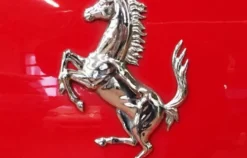 Ferrari F355 Spider selber fahren Berlin (50 min)