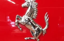 Ferrari 360 Spider selber fahren Berlin (50 min)