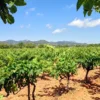 Finca-Kurzurlaub auf Mallorca für 2