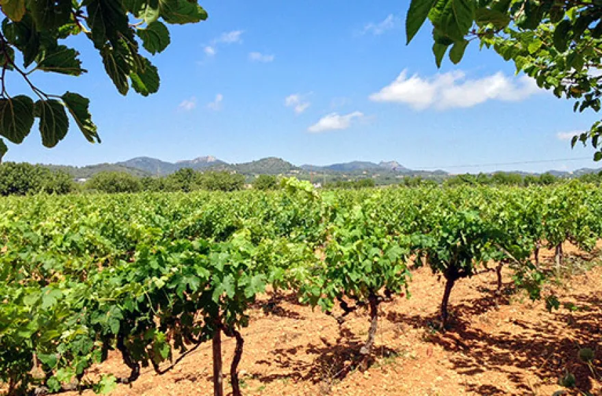 Finca-Kurzurlaub auf Mallorca für 2