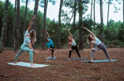 Fitness für Sportler (Zenspotting Online Kurs)