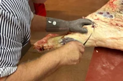 Fleisch Zerlegeworkshop Chemnitz (8 Std.)