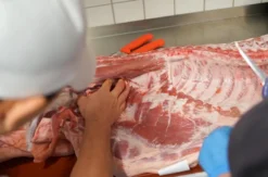Fleisch Zerlegeworkshop Chemnitz (8 Std.)