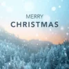 Flexibles Geschenk Tannenbaum