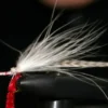 Fliegenfischen im Wettersteingebirge