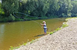 Fliegenfischen in Magdeburg (2 Tage)