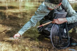 Fliegenfischen Tageskurs im Kinzigtal