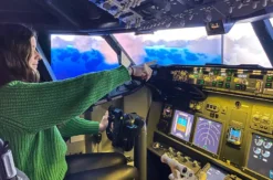 Flugsimulator Boeing 737 Backnang