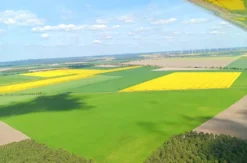 Flugzeug selber fliegen Trebbin (90 Min.)