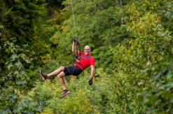 Flying Fox Berlingen (2,5 Std.)