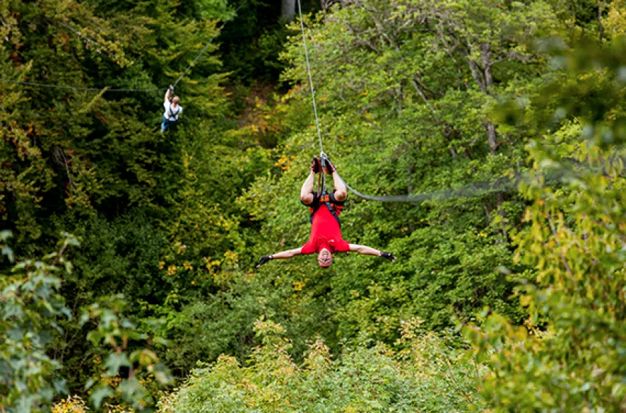 Flying Fox Berlingen (2,5 Std.)