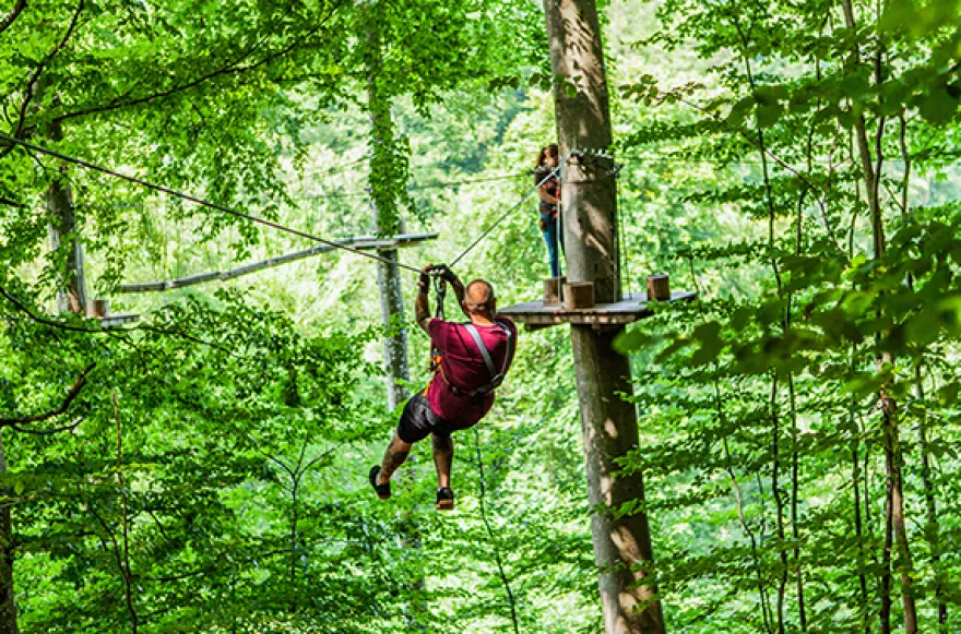Flying Fox Berlingen (2,5 Std.)