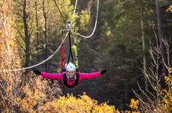 Flying Fox Schwarzwald für 2 Schömberg
