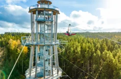 Flying Fox Schwarzwald für 2 Schömberg