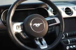 Ford Mustang Cabrio mieten Bötzingen (1 Tag)